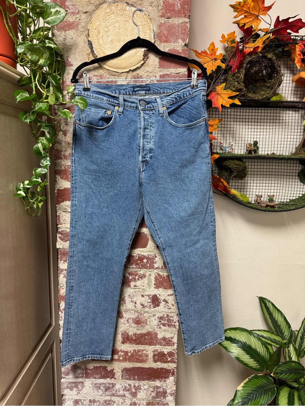 Levi's 90s Minimalistic Medium Wash Cropped 2018 Jeans